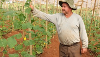 28-de-julho--dia-do-agricultor