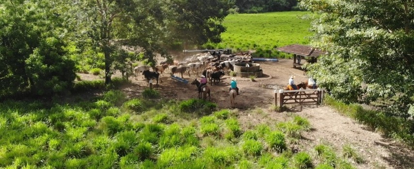 entrega-da-declaracao-do-imposto-sobre-a-propriedade-rural-comecou