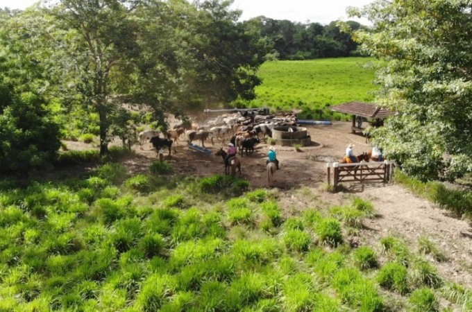 Entrega da declarao do imposto sobre a propriedade rural comeou