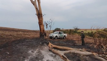 iacri-fazenda-e-multada-em-rs-180-mil-apos-incendio-em-mata-nativa