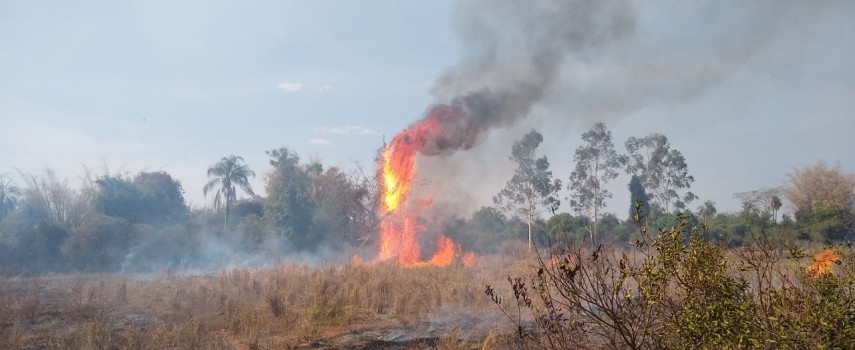 bombeiros-combateram-incendio-em-vegetacao-no-bairro-agua-quente