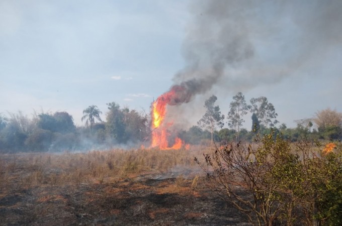 Bombeiros combateram inc�ndio em vegeta��o no bairro �gua Quente