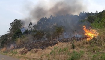 periodo-de-estiagem-aumenta-risco-de-incendios-em-areas-de-vegetacao