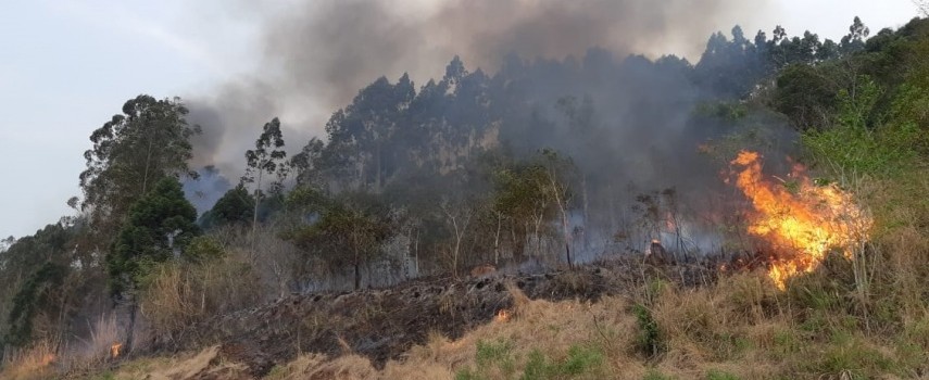 periodo-de-estiagem-aumenta-risco-de-incendios-em-areas-de-vegetacao