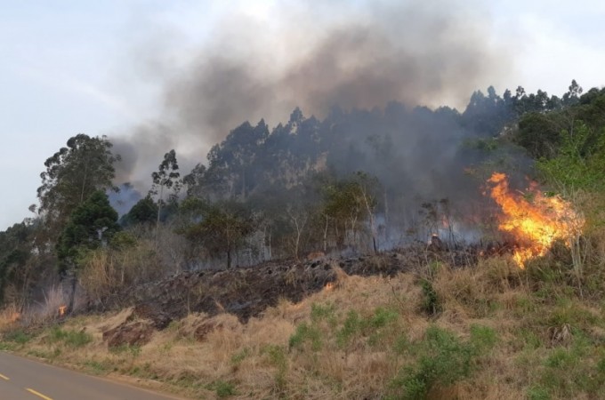 Perodo de estiagem aumenta risco de incndios em reas de vegetao