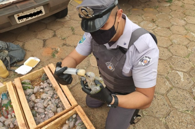 PM Ambiental multa em R$ 1,3 milh�o pessoas com aves silvestres