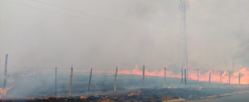 incendio-em-vegetacao-bombeiros-de-ibitinga-atende-5-ocorrencias-em
