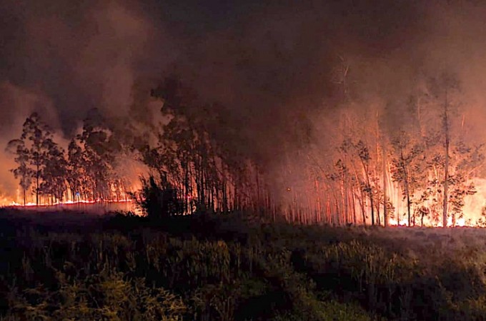 Inc�ndio destruiu �rea de 8 mil m� no Jd. Mirante