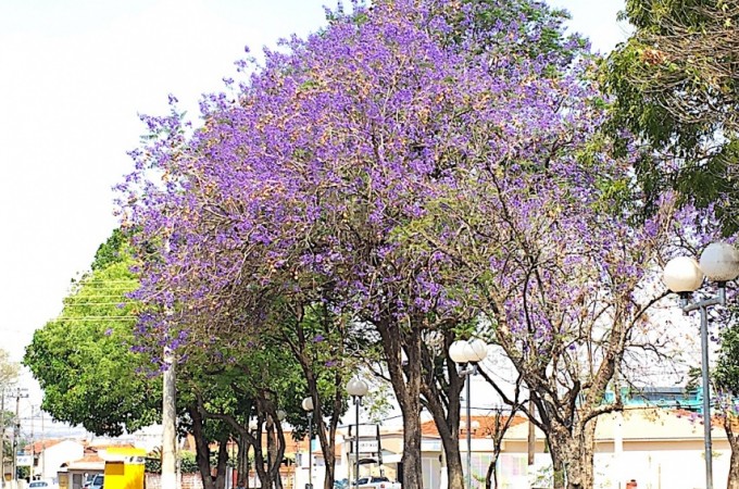 Termmetros registraram 41,7 graus em Ibitinga 