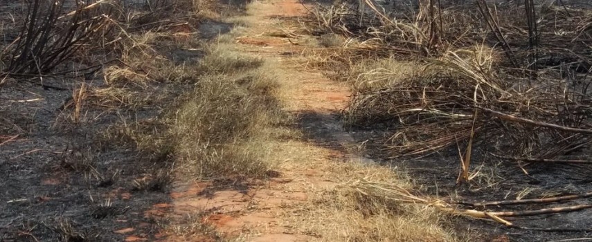 pm-ambiental-autua-fazenda-em-rs-400-mil-por-queimada-em-guaicara