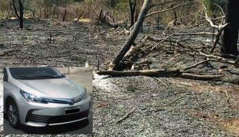 araraquara-mp-denuncia-responsaveis-por-incendio-em-mata