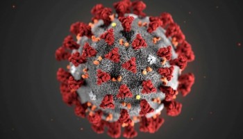 confirmado-38-casos-da-variante-brasileira-do-coronavirus-no-estado