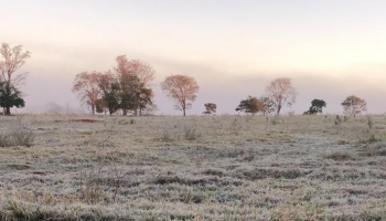 brasil-tera-semana-de-frio-intenso-a-partir-do-dia-16