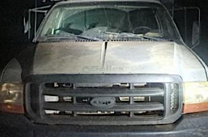 Caminhonete roubada com bois em Borborema � encontrada em Ibitinga